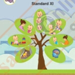 Child Development Class : 11th