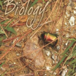 NCERT Biology : Class-XI