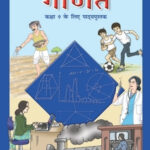 NCERT Ganit गणित Hindi Medium Mathematics : for Class - IX