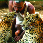 Ranmitra Dr. Prakash Amte रानमित्र - डॉ. प्रकाश आमटे