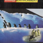 Ecology & Environment K. Siddhartha