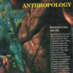 Physical Anthropology R.N.Sharma