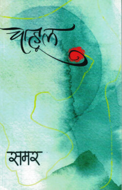Chahul-Samar (चाहूल) Marathi (novel) Book katha-kadambari