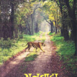 Ranvata - रानवाटा- Maruti Chitampalli MARATHI (NOVEL) BOOK KATHA-KADAMBARI