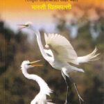 Anandadayi Bagale – आनंददायी बगळे- Maruti Chitampalli MARATHI (NOVEL) BOOK KATHA-KADAMBARI