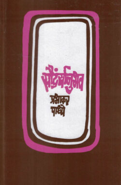 Saundaryanubhav (सौंदर्यानुभव)-Prabhakar Padhye Marathi (novel) Book katha-kadambari