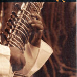 Didada Didada (दिडदा दिडदा)-Namita Devidayal Anuvad-Ambarish Mishra (Marathi) (Novel) Book Katha-Kadambari