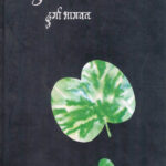 Dupani (दुपानी)-Durga Bhagwat Marathi Book katha-kadambari (novel)