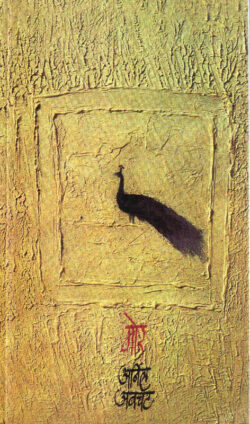 Mor (मोर)-Anil Avachat Marathi Book katha-kadambari (novel)