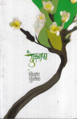 Devchafa (देवचाफा0-Vidyadhar Pundlik Marathi Book katha-kadambari (novel)