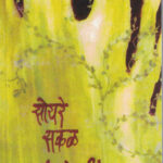 Soyare Sakal (सोयरे सकळ)-Sunita Deshpande Marathi Book katha-kadambari (novel)