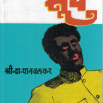 Surya (सूर्य)-S. D. Panvalkar Marathi Book katha-kadambari (novel)