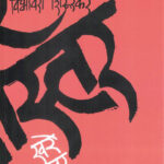 Khare Master (खरे मास्तर)-Vibhavari Shirurkar Marathi Book katha-kadambari (Novel)