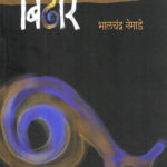 Bidhar (बिढार)-Bhalchandra Nemade Marathi Book katha-kadambari (Novel)