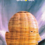 Aaydaan (आयदान)-Urmila Pawar Marathi Book katha-kadambari (Novel) Granthali