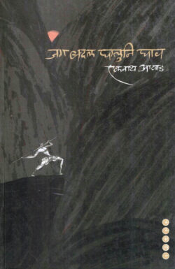 Jag Badal Ghaluni Ghav (जग बदल घालुनि घाव)-Eknath Aawad Marathi Book katha-kadambari (Novel) Samakaleen