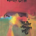 Ya Sattet Jiv Ramat Nahi (या सत्तेत जीव रमत नाही)-Namdev Dhasal Marathi Book katha-kadambari (Novel) Kavita Sangrah Shabd