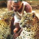 Ranmitra (रानमित्र)-Dr. Prakash Amte Marathi Book katha-kadambari (Novel) Samakaleen